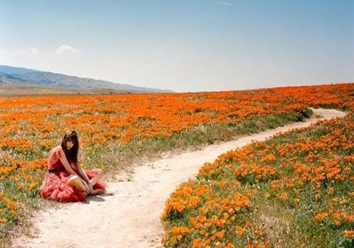 在您自以为是的梦想中总会花费一些非常期待的生活