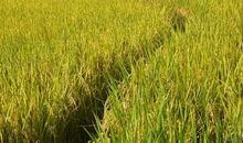 对一个人特别失望的句子