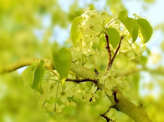   谁控制过去控制着未来：控制现在的人控制着过去