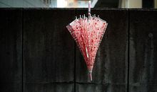 对婚姻失望绝望的句子