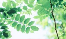 写父子亲情的名言句子