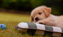 想你的时候的句子