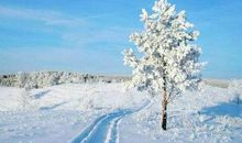 冬天下雪的唯美句子