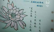 描写夏天的摘抄句子
