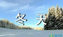描写冬天树木的句子摘抄