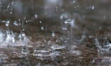 对家人非常失望的句子