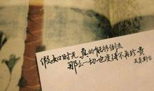 美到让人心痛的句子