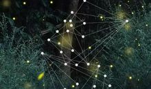 最美的情话简短