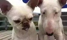 搞笑语录2016：对自己好点，能怪男朋友的就别怪自己