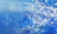 享受开心快乐的句子