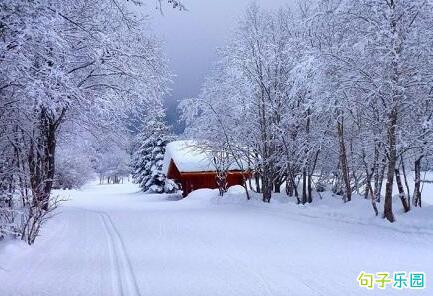 下雪时非常适合早上放心和打招呼： 1