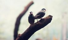 关于感恩和奉献的句子