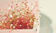 最新的经典句子：你所厌恶的现在是未来的你回不去的曾经