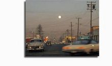 很搞笑很心酸的句子