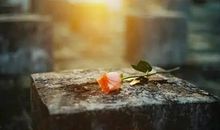 对兄弟失望至极的句子