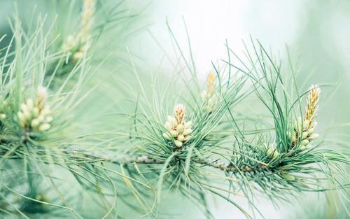 让我们看一下编辑编撰的关于疏远家庭的句子