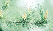 写亲情疏远的句子