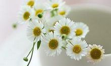 表示珍惜亲情的句子