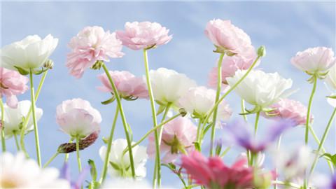 亲情很暖英文句子说说心情 0