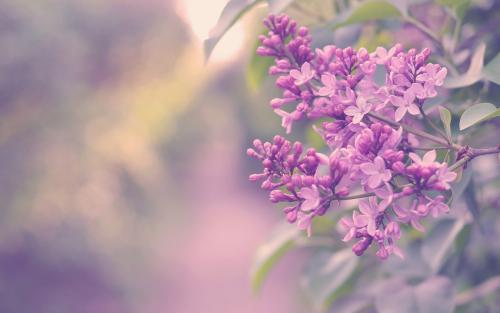 亲情很暖英文句子说说心情 1