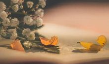 让小男友开心的句子