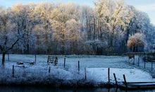 生活哲理经典语录