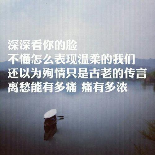 我希望阳光温暖