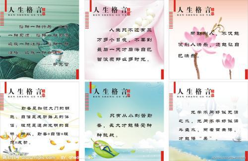 1、为别人照亮道路