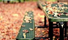 感慨人生的句子