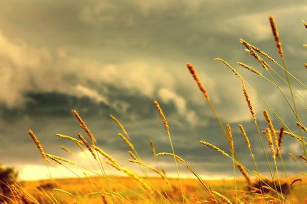 愿我的祝福消除一天工作带来的疲劳