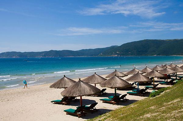 请在忙碌的工作中接受我最诚挚的诚意和祝福