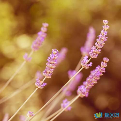 我感到悲伤和幸福