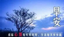 2019说说心情短语