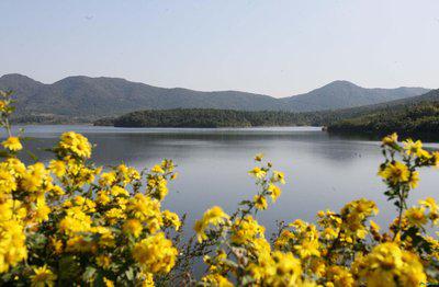 问候是一种风景