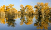 有关天气的问候短信