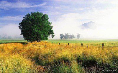 使用放松缓解祛痰汤的压力