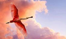 开心没烦恼的句子