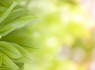 读得好的书在医学上是愚蠢的