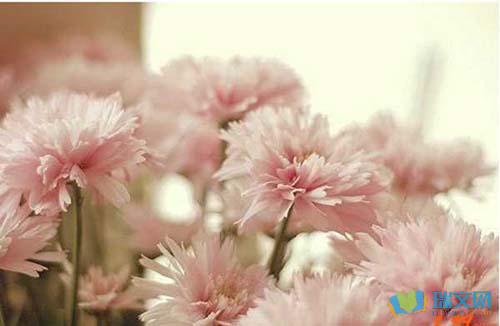 情绪是指一种非特定的