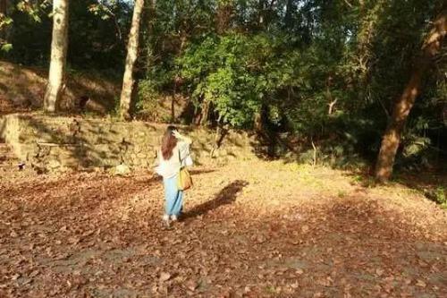 以下是令人心碎的句子