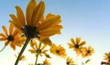 劝诫孩子珍惜亲情的句子