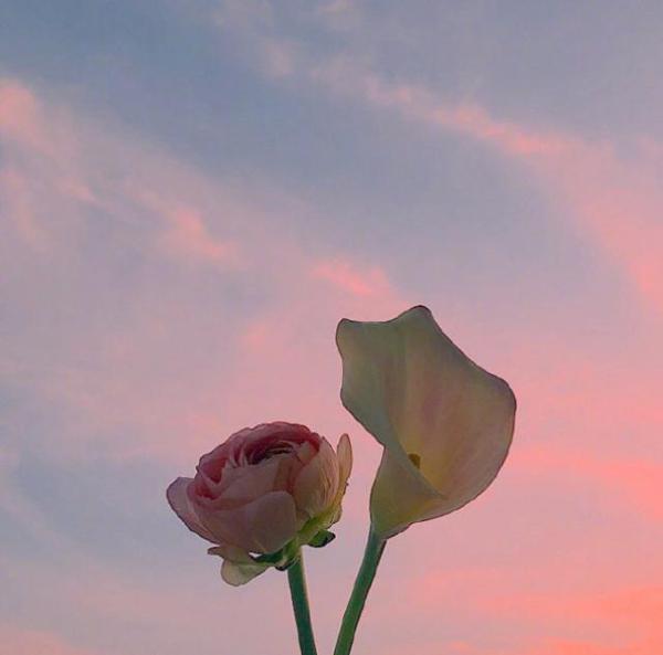 只有不幸的夫妻