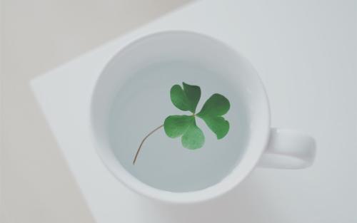 美丽的家庭句子的心情如何