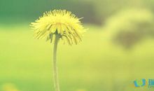 想念逝去的妈妈的句子