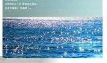 独木舟深海经典语录