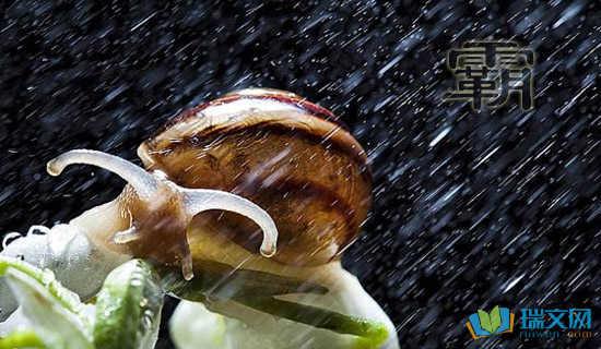 霸气和冷漠的句子1   1