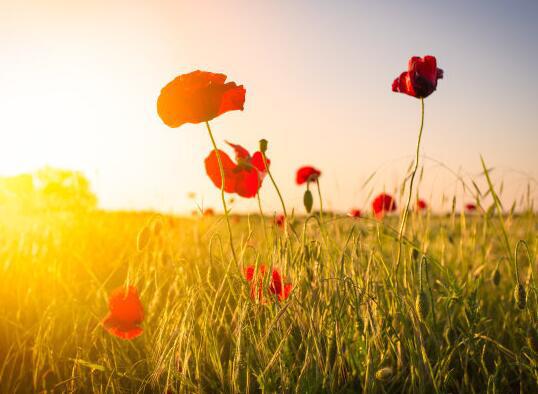 我担心只有我留在世界上的那种气氛