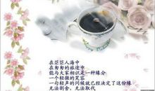 形容相遇是缘分的句子