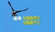 高三青春励志句子