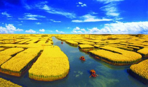 无法比拟您手掌上的朱砂